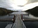 ./images/calvert/dock/20141205/dock20141205_112004.jpg