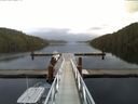./images/calvert/dock/20141221/dock20141221_113003.jpg