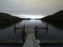 ./images/calvert/dock/20150101/dock20150101_154502.jpg