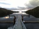 ./images/calvert/dock/20150102/dock20150102_085504.jpg