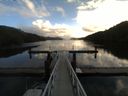 ./images/calvert/dock/20150102/dock20150102_114502.jpg