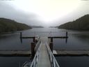 ./images/calvert/dock/20150208/dock20150208_124502.jpg