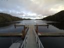 ./images/calvert/dock/20150220/dock20150220_140502.jpg