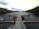 ./images/calvert/dock/20150403/dock20150403_132003.jpg