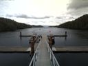./images/calvert/dock/20150403/dock20150403_140503.jpg