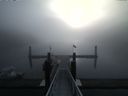 ./images/calvert/dock/20150408/dock20150408_083504.jpg