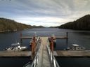 ./images/calvert/dock/20150409/dock20150409_144504.jpg