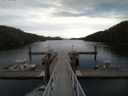 ./images/calvert/dock/20150409/dock20150409_181002.jpg