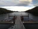 ./images/calvert/dock/20150409/dock20150409_184001.jpg