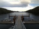 ./images/calvert/dock/20150409/dock20150409_185002.jpg