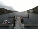 ./images/calvert/dock/20150410/dock20150410_114504.jpg