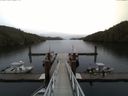 ./images/calvert/dock/20150410/dock20150410_154504.jpg