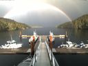 ./images/calvert/dock/20150410/dock20150410_183004.jpg