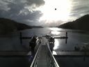 ./images/calvert/dock/20150411/dock20150411_085503.jpg