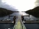 ./images/calvert/dock/20150412/dock20150412_063004.jpg