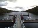 ./images/calvert/dock/20150412/dock20150412_065002.jpg