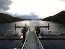 ./images/calvert/dock/20150412/dock20150412_072504.jpg