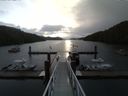 ./images/calvert/dock/20150412/dock20150412_081004.jpg