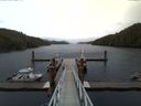 ./images/calvert/dock/20150412/dock20150412_181004.jpg