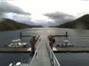 ./images/calvert/dock/20150413/dock20150413_083504.jpg