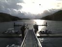 ./images/calvert/dock/20150413/dock20150413_090503.jpg