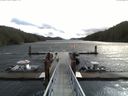 ./images/calvert/dock/20150413/dock20150413_111003.jpg