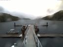 ./images/calvert/dock/20150415/dock20150415_101504.jpg