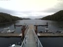 ./images/calvert/dock/20150420/dock20150420_143504.jpg