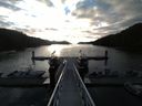 ./images/calvert/dock/20150425/dock20150425_070504.jpg