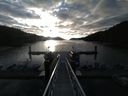 ./images/calvert/dock/20150425/dock20150425_071004.jpg