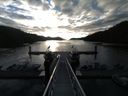 ./images/calvert/dock/20150425/dock20150425_071504.jpg