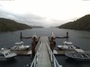 ./images/calvert/dock/20150427/dock20150427_074004.jpg