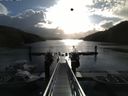 ./images/calvert/dock/20150428/dock20150428_084004.jpg