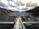 ./images/calvert/dock/20150501/dock20150501_141004.jpg