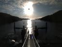 ./images/calvert/dock/20150502/dock20150502_075501.jpg