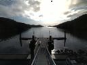 ./images/calvert/dock/20150503/dock20150503_090002.jpg