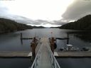 ./images/calvert/dock/20150503/dock20150503_112501.jpg