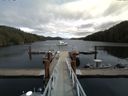 ./images/calvert/dock/20150503/dock20150503_131004.jpg