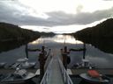 ./images/calvert/dock/20150505/dock20150505_063004.jpg