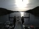 ./images/calvert/dock/20150505/dock20150505_085501.jpg