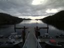 ./images/calvert/dock/20150509/dock20150509_084504.jpg
