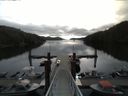 ./images/calvert/dock/20150509/dock20150509_091504.jpg