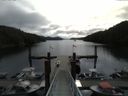 ./images/calvert/dock/20150509/dock20150509_094503.jpg