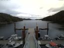 ./images/calvert/dock/20150509/dock20150509_122502.jpg
