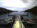 ./images/calvert/dock/20150510/dock20150510_053004.jpg