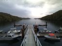 ./images/calvert/dock/20150510/dock20150510_061504.jpg