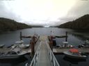 ./images/calvert/dock/20150510/dock20150510_182504.jpg