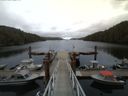 ./images/calvert/dock/20150510/dock20150510_184001.jpg