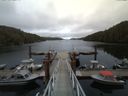 ./images/calvert/dock/20150510/dock20150510_190504.jpg