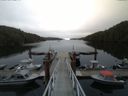 ./images/calvert/dock/20150511/dock20150511_073002.jpg